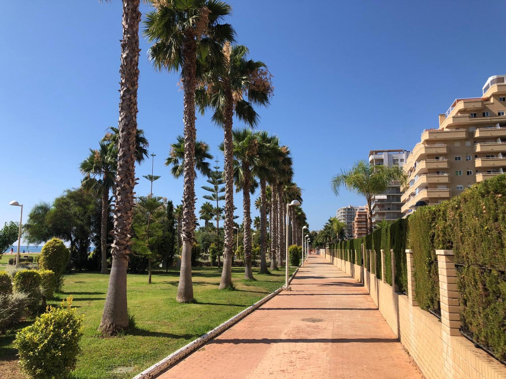 Edessa - Primera Linea Apartment Oropesa del Mar Bagian luar foto