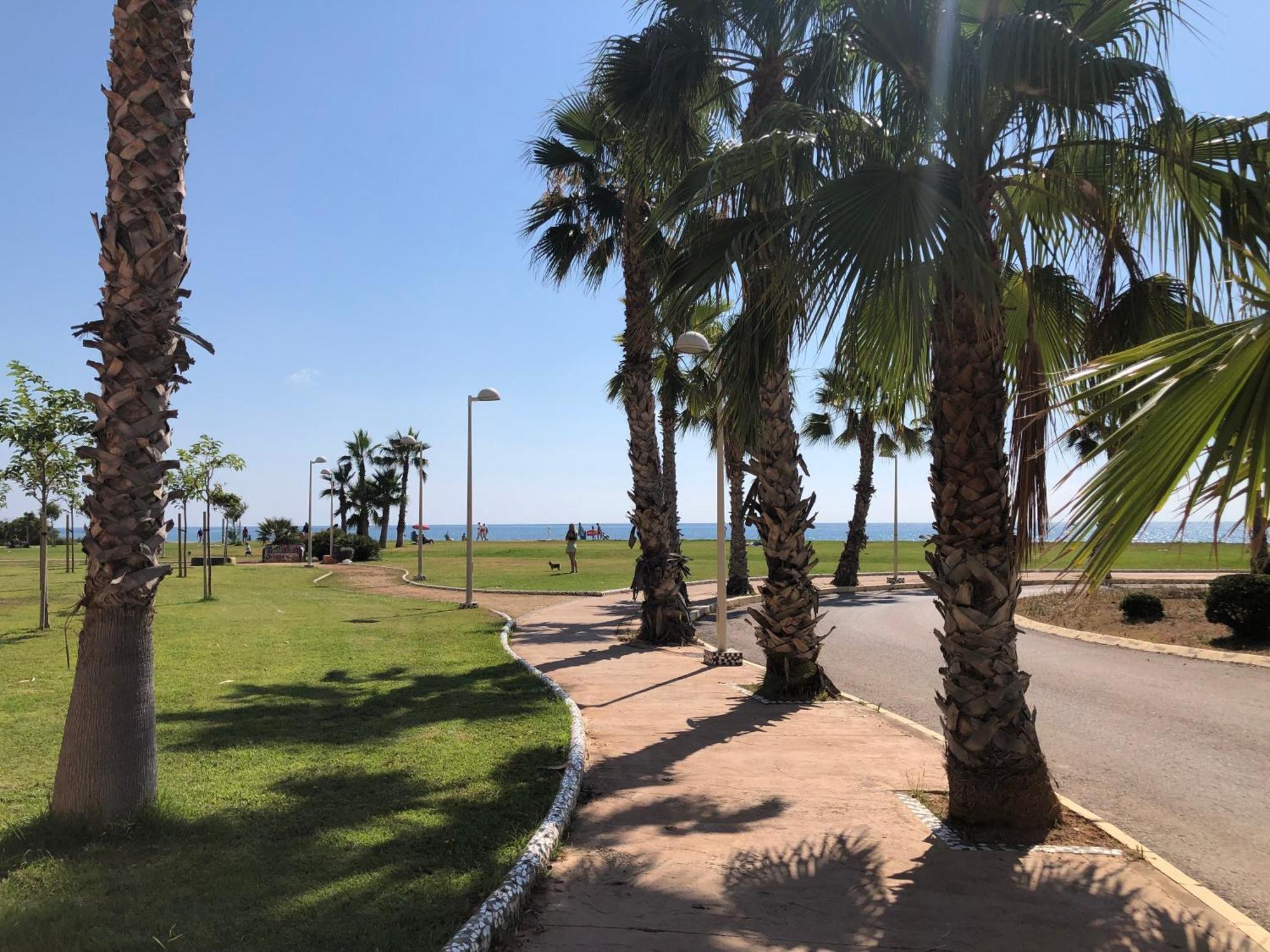 Edessa - Primera Linea Apartment Oropesa del Mar Bagian luar foto